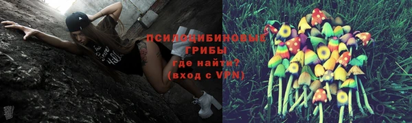 амф Аркадак